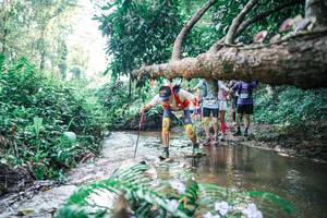 BIB: 
                            <button type="button" onclick="openModal(25451487)" class="btn btn-primary btn-sm float-right btn-popup" data-toggle="modal" data-target=".modal-high-quality">
                        <i class="fas fa-shopping-cart"></i> Add to Cart
                    </button>
                                            <button type="button" onclick="isThisMe(25451487, true)" class="btn btn-success btn-sm float-right btn-popup btn-isme hidden" data-toggle="tooltip" data-placement="bottom" title="นี่คือรูปของคุณใช่ไหม คลิกที่นี่เพื่อเอาเข้าอัลบั้ม">
                        <i class="fas fa-plus"></i> Add to album
                    </button>
                    <button type="button" onclick="isThisMe(25451487, false)" class="btn btn-warning btn-sm float-right btn-popup btn-isnotme hidden">
                        <i class="fas fa-ban"></i> Remove from album
                    </button>